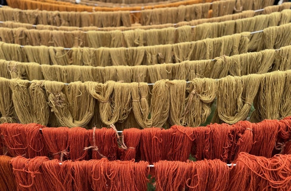 mind your rug 4 3.jpg